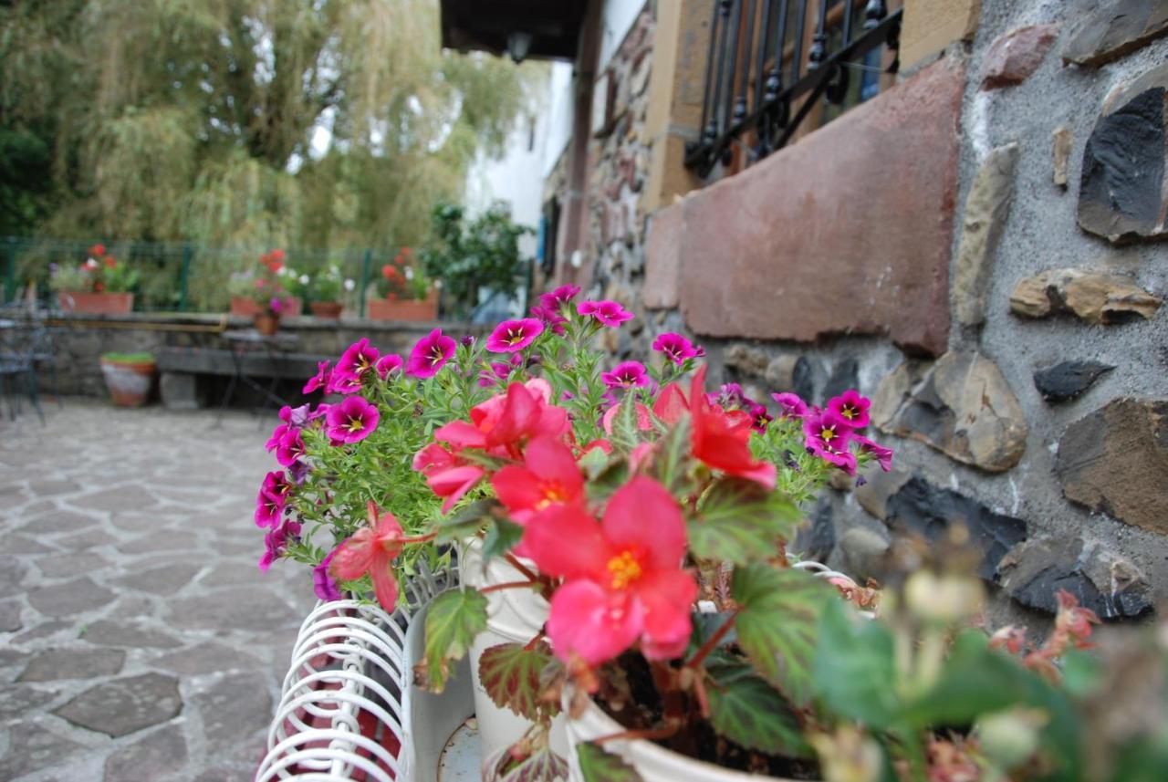 Hostal Rural Donamariako Benta Bagian luar foto